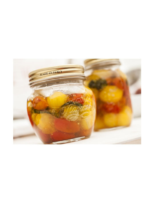 Bormioli Rocco Quattro Stagioni Anfora Vază Utilizare Generală Cu Capac Sticlă Transparentă 500ml