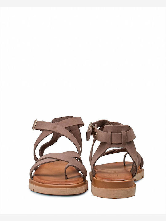 Zakro Collection Zakro Collection