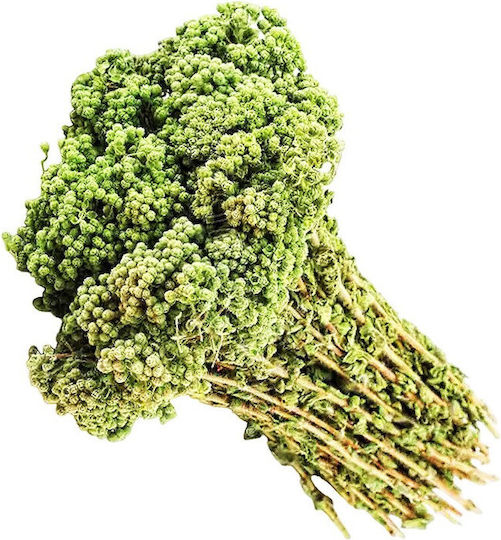 Măcelărie Oregano De Chios Legătură 100gr