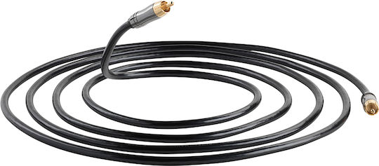 QED Performance Subwoofer Kabel RCA-Stecker - RCA-Stecker 6m