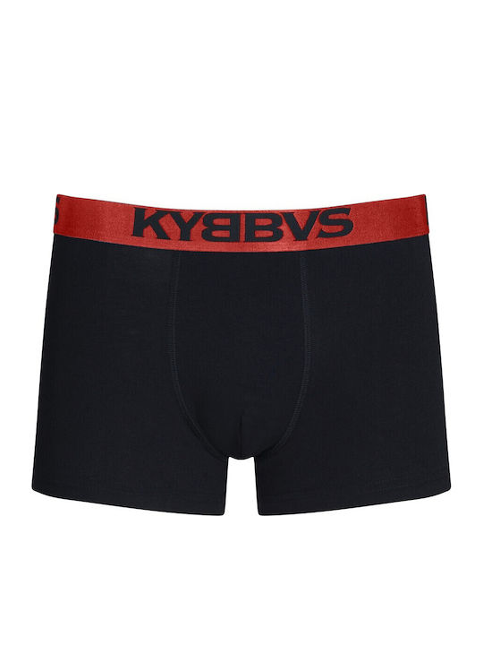 Kybbvs