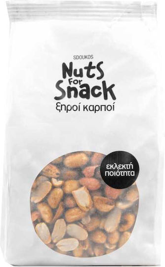Sdoukos - Nuts & Fruits for Snack Φιστίκια Αράπικα Ψημένα Ψίχα με Αλάτι 500gr