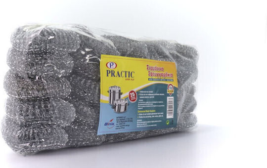 Practic Practic Küchenschwämme Allgemeine Verwendung Silber 25 Stück