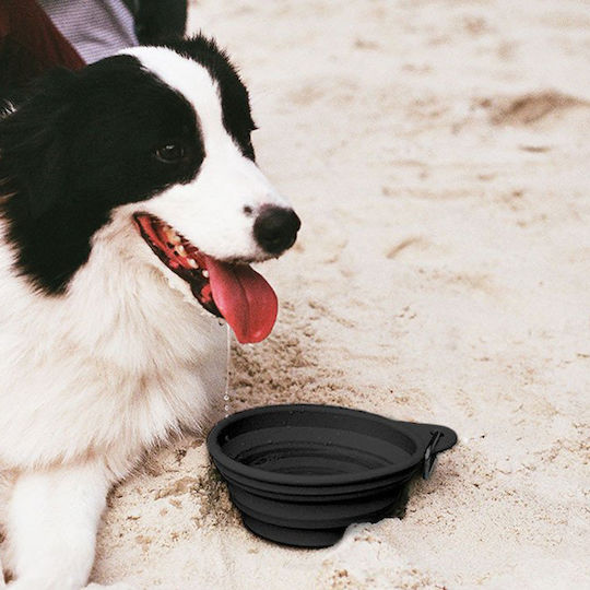 Zee-Dog Μπολ Φαγητού για Σκύλο 500ml 17.5cm σε Μαύρο Χρώμα