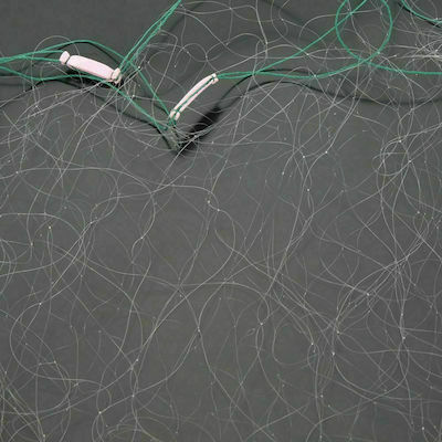 Fishing Net Rigged Mono Monofilament 0.25 70 Millimeters 2 Meters Height 100 Meters Length