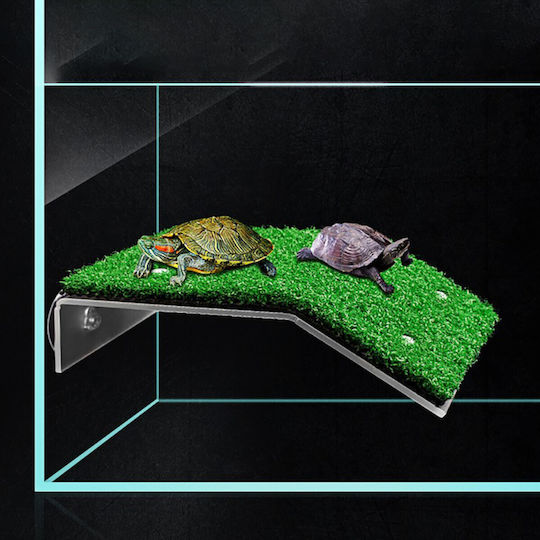 Turtle Ramp 20.7 * 20 * H6.2cm