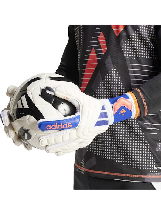 adidas Copa League Torwarthandschuhe Erwachsene Weiß