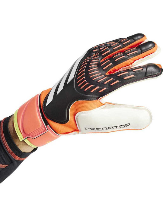 adidas Predator Gl Mtc Mănuși portar Adulți Colorate