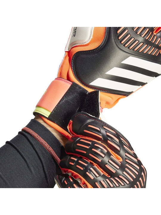 adidas Predator Gl Mtc Mănuși portar Adulți Colorate