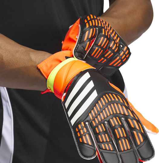 adidas Predator 20 Training Голмански ръкавици за Възрастни Многоцветни