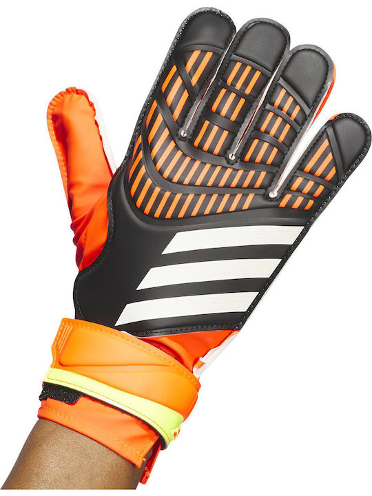 adidas Predator 20 Training Adults Goalkeeper Gloves Multicolour