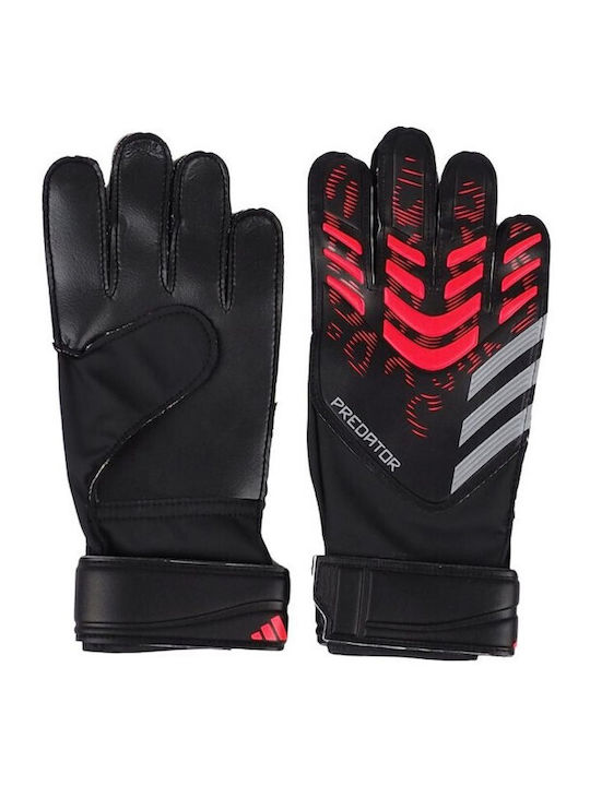 adidas Predator Training Torwarthandschuhe Erwachsene Schwarz