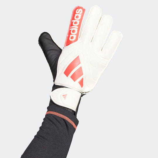 adidas Copa Gl Clb Torwarthandschuhe Erwachsene Weiß