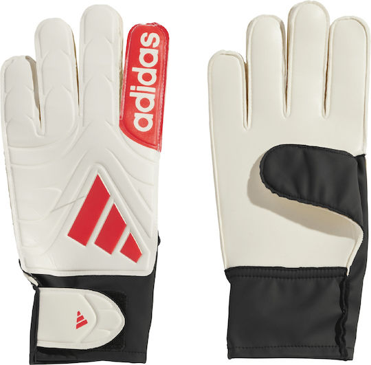 adidas Copa Gl Clb Torwarthandschuhe Erwachsene Weiß