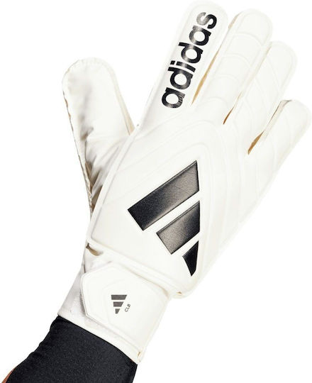 adidas Copa Gl Clb Голмански ръкавици за Възрастни Бежов
