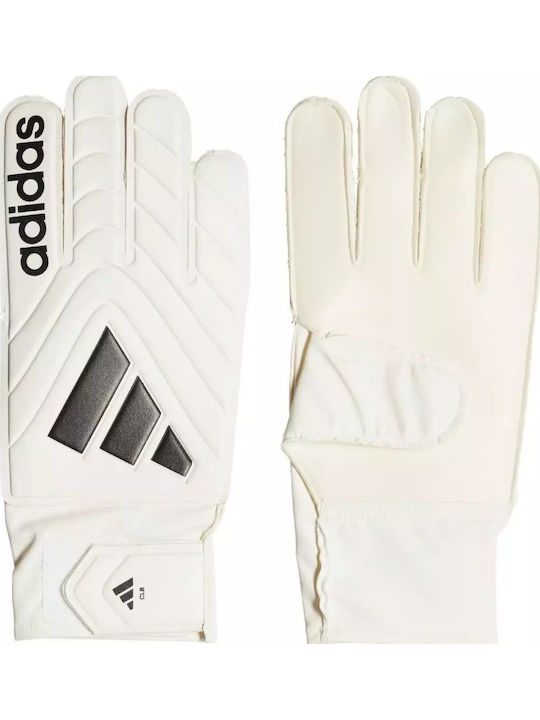 adidas Copa Gl Clb Γάντια Τερματοφύλακα Ενηλίκων Μπεζ
