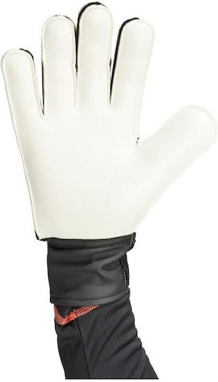 adidas Copa Mănuși portar Adulți Roșii