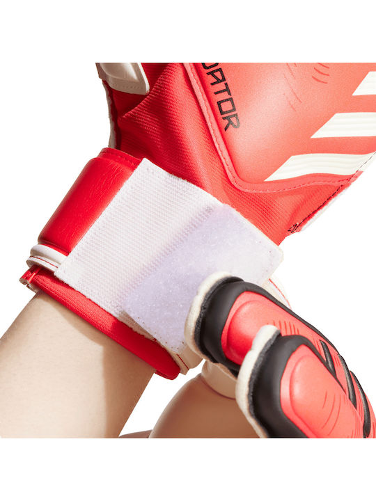 adidas Predator GL MTC FS Torwarthandschuhe Erwachsene Rot