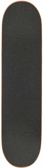 Globe Goodstock Complete Shortboard Blue