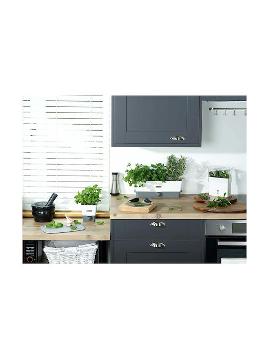 Cole & Maison Ölkanne aus Edelstahl 260ml
