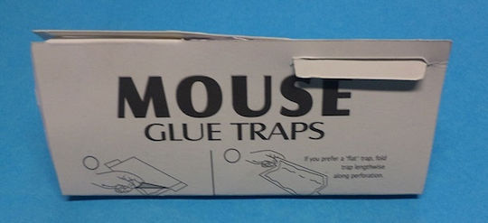 Glue Trap for Mice Ecological Set of 2 Pieces Size 18 x 14 Cm 102534