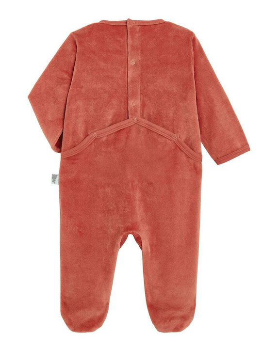 Petit Beguin Baby-Strampler Pyjama Bebe Samt Coquette 6011421 Bordeaux 6011421-coquette Bordeaux Mädchen Petit Beguin Baby-Strampler Pyjama Bebe Samt Coquette 6011421 Bordeaux 6011421-coquette Bordeaux Mädchen