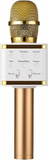 WSTER Μικρόφωνο Karaoke Ασύρματο WS-858 WS-858 Χρυσό