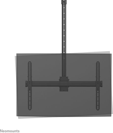 Suport TV Neomounts Cl35-440bl16l 177,8 cm 70" Negru