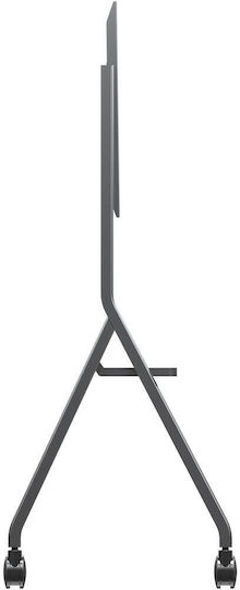 Viewsonic VB-STND-009 7556840 Wandhalterung für Fernseher bis 105" und 120kg