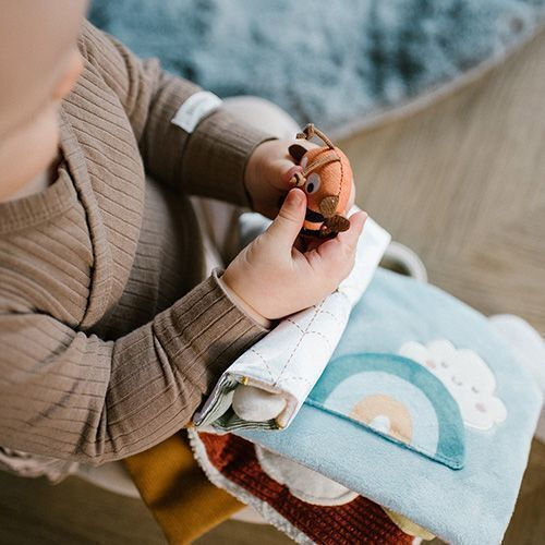 Babyono Κρεμαστό Παιχνίδι Αυτοκινήτου με Καθρέφτη Nature Sensory Book