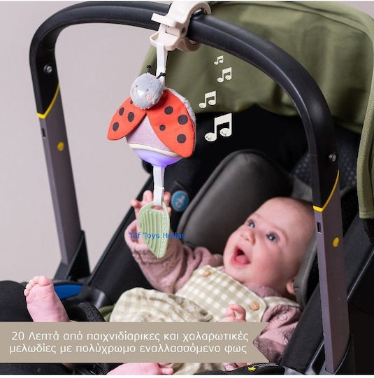 Taf Toys Pendant Toy for Car with Music for 0++ Months 13245