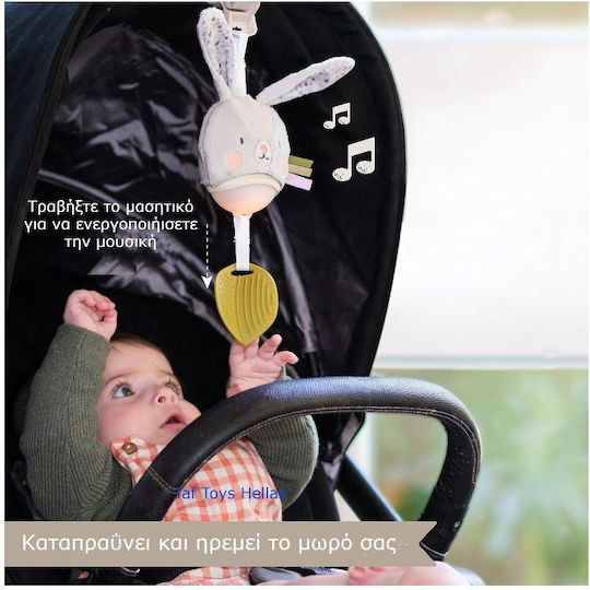 Taf Toys Anhänger Spielzeug für Auto mit Musik Bunny für 0++ Monate 13235