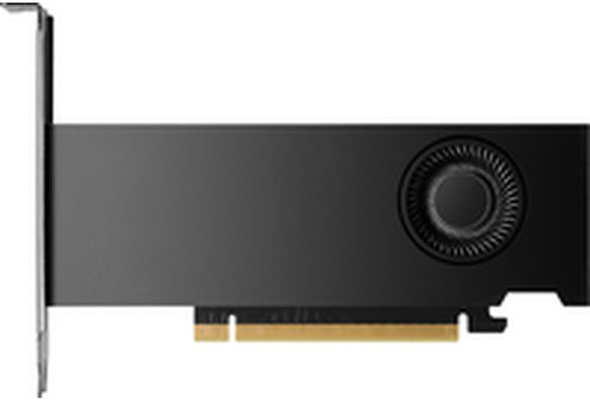 HP RTX 2000 Ada 16GB GDDR6 Grafikkarte