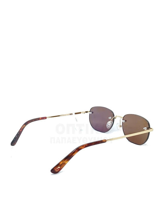 The Glass of Brixton Unisex Sunglasses with Gold Metallic Frame and Brown Lens BS258 10