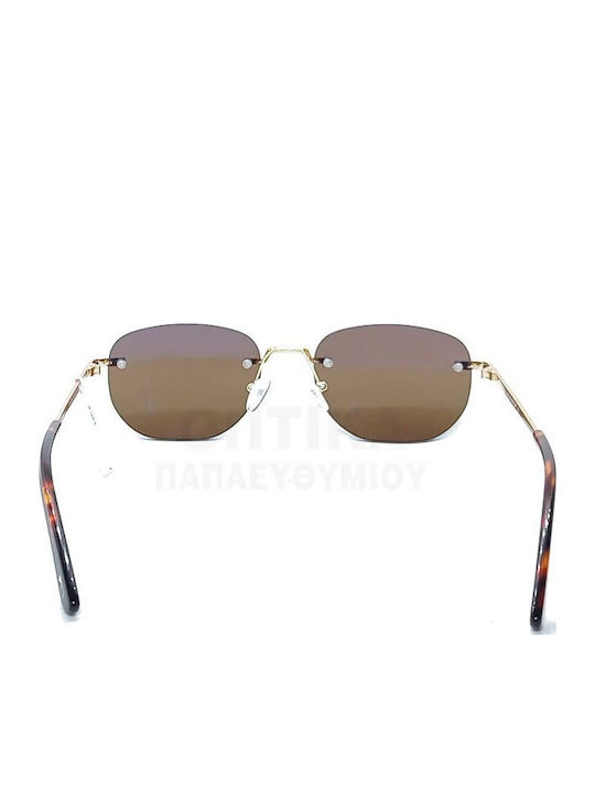The Glass of Brixton Unisex Sunglasses with Gold Metallic Frame and Brown Lens BS258 10