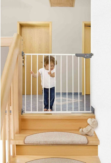 Reer Security Door in Gray Colour 76cm