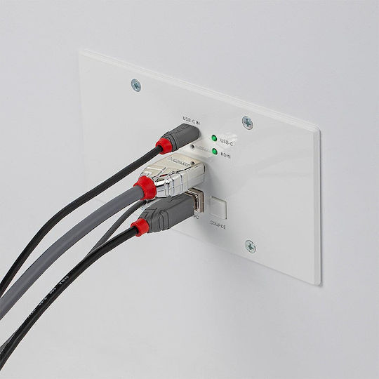 Lindy KVM & Data Switch 38388