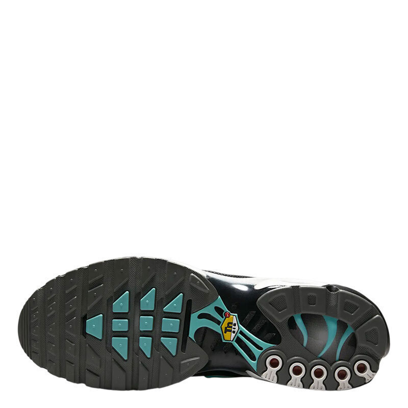 aurora green air max plus