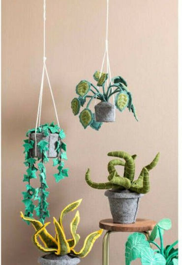 Neonato Bebe Hanging Decorative Plant Hedera Neonato Bebe