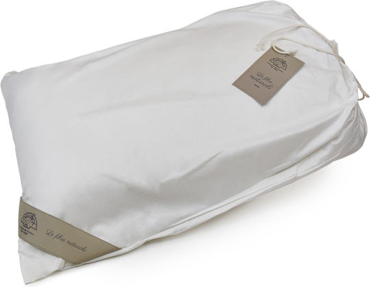 Kapok Organic Cotton 50x70