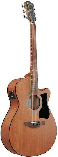 Ibanez Acoustic Guitar Natural / Open Pore