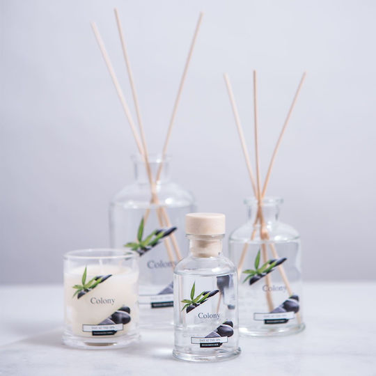 Wax Lyrical Colony Reed Diffusor Raumdüfte Day At Spa 500ml