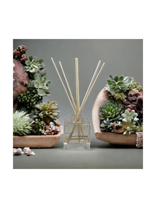 Themagio Raumdüfte Sticks Vanille & Karamell 100ml