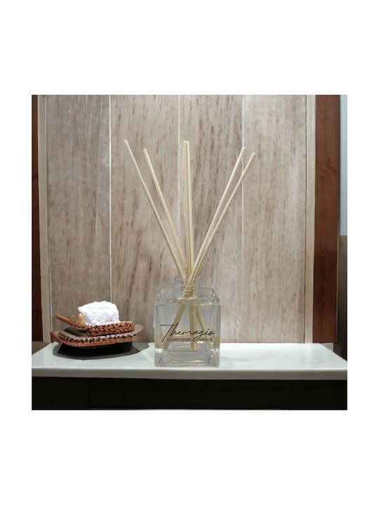 Themagio Raumdüfte Sticks Vanille & Karamell 100ml