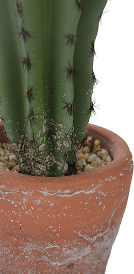 Plantă Suculentă În Ghiveci 23cm 8x8x23cm Verde Kaeming Plantă Suculentă În Ghiveci 23cm 8x8x23cm Verde Kaeming