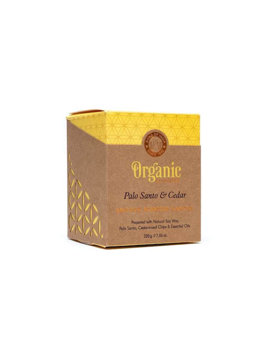 Aromatisches Soja-Kerze Organic Palo Santo & Kiefer 550g