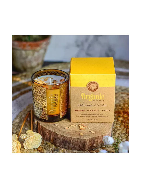 Aromatisches Soja-Kerze Organic Palo Santo & Kiefer 550g