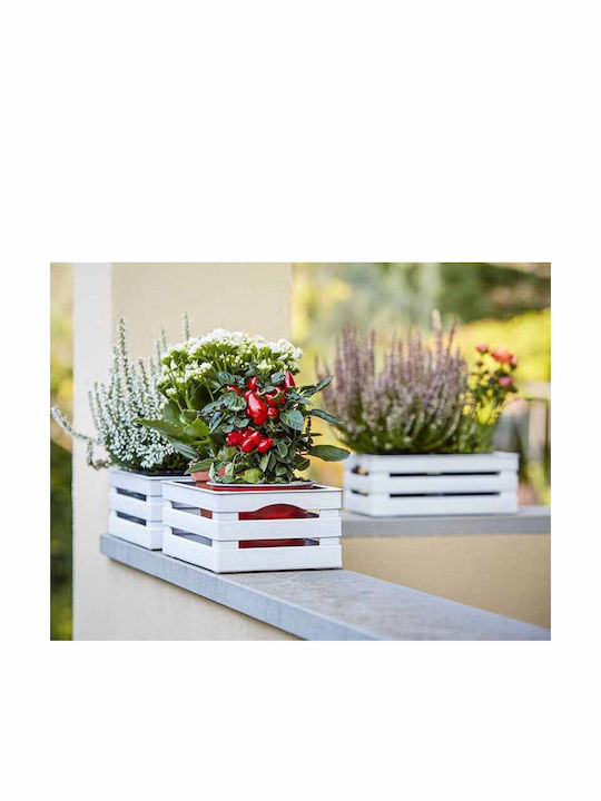 Bama Italia Țesătură Multifuncțională 25x16x10cm Plastic Aspect Lemn Crem Tina Cassettina