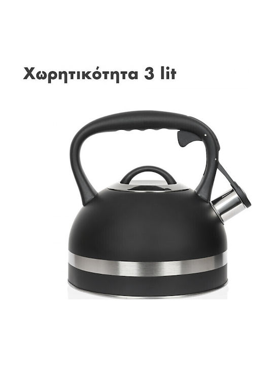 Zilan Stainless Steel Kettle Black 3000ml