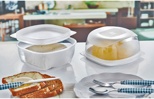 TnS Cheese Dish Plastic